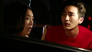Coppia coreana che fa sesso grezzo nella macchina
